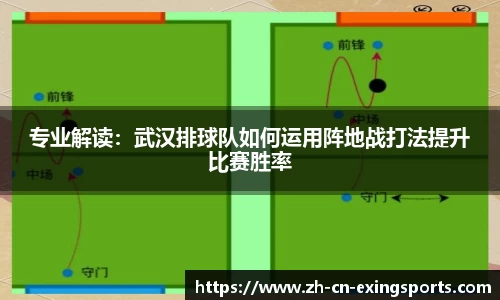 专业解读：武汉排球队如何运用阵地战打法提升比赛胜率